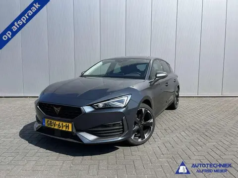 Used CUPRA LEON Petrol 2023 Ad 