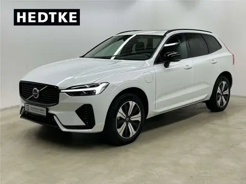 Used VOLVO XC60 Hybrid 2023 Ad 