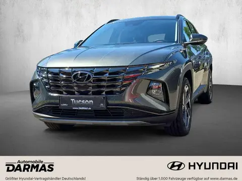 Annonce HYUNDAI TUCSON Hybride 2023 d'occasion 