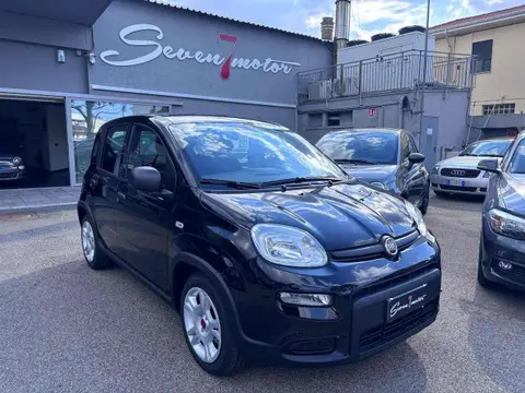 Used FIAT PANDA Hybrid 2024 Ad 