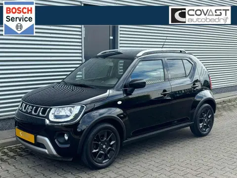 Annonce SUZUKI IGNIS Hybride 2021 d'occasion 