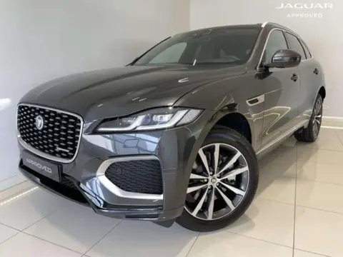 Used JAGUAR F-PACE  2023 Ad 