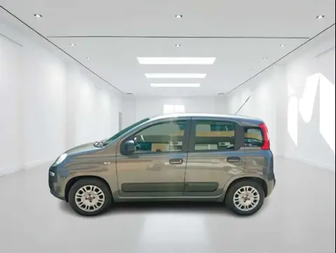 Annonce FIAT PANDA GPL 2020 d'occasion 