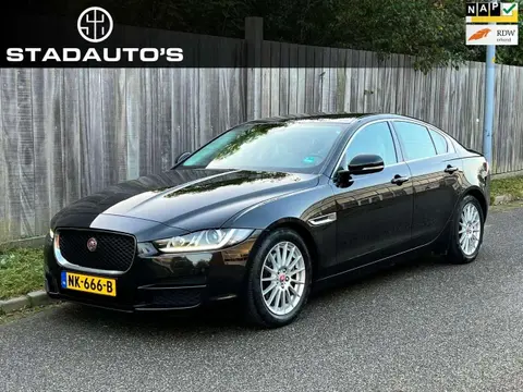 Annonce JAGUAR XE Diesel 2017 d'occasion 