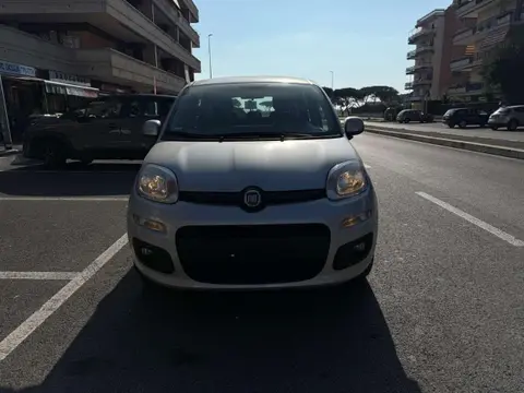 Used FIAT PANDA Petrol 2019 Ad 