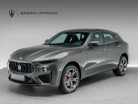 Used MASERATI LEVANTE Petrol 2023 Ad 