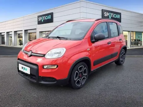 Annonce FIAT PANDA Essence 2022 d'occasion 