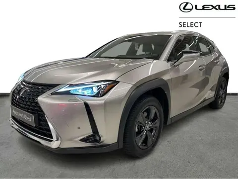 Used LEXUS UX Hybrid 2020 Ad 