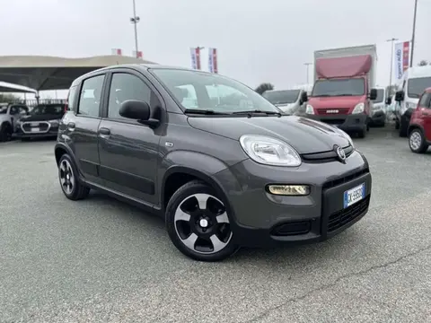 Used FIAT PANDA Hybrid 2022 Ad 