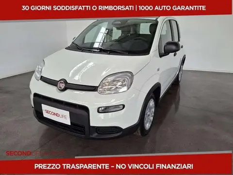 Annonce FIAT PANDA Hybride 2024 d'occasion 