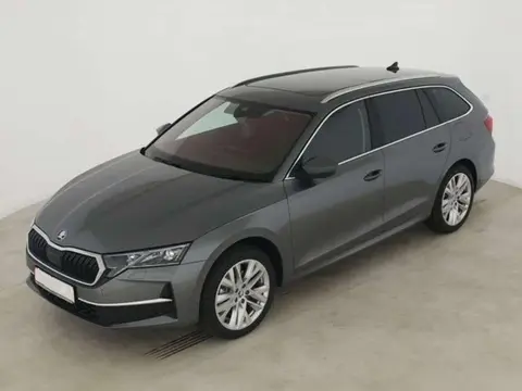 Used SKODA OCTAVIA Diesel 2024 Ad 