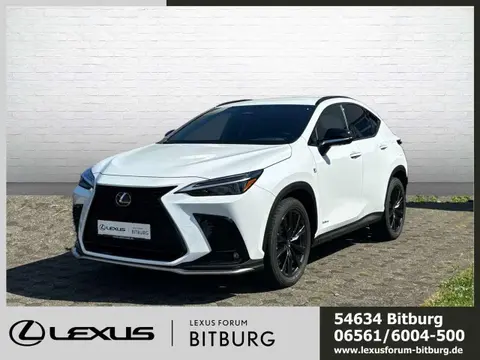 Annonce LEXUS NX Hybride 2024 d'occasion 