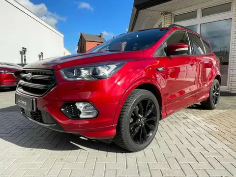 Used FORD KUGA Petrol 2019 Ad 