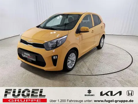 Used KIA PICANTO Petrol 2024 Ad 