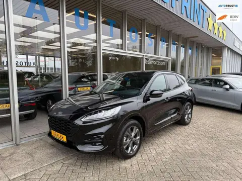 Used FORD KUGA Hybrid 2023 Ad 