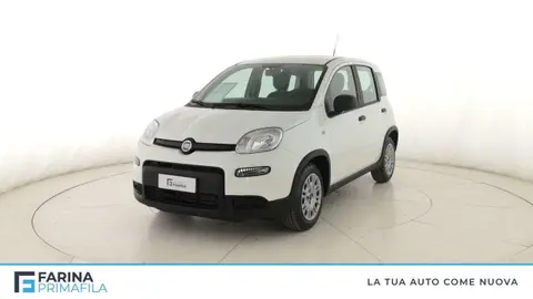 Annonce FIAT PANDA Hybride 2024 d'occasion 