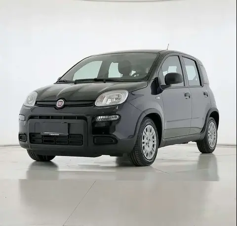 Annonce FIAT PANDA Hybride 2024 d'occasion 