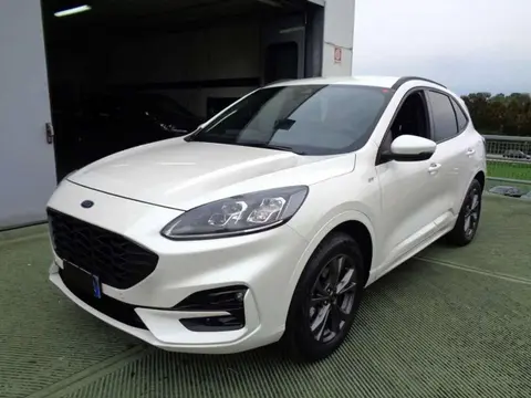 Used FORD KUGA Hybrid 2021 Ad 