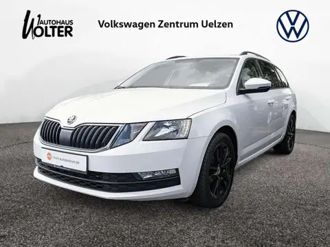 Annonce SKODA OCTAVIA Diesel 2020 d'occasion 