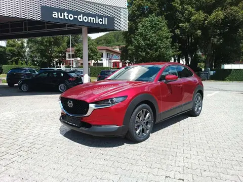 Annonce MAZDA CX-30 Essence 2024 d'occasion 