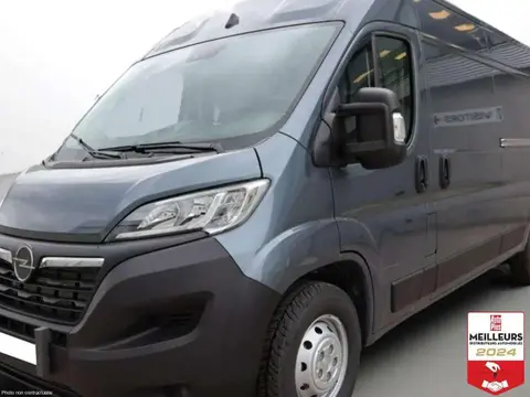 Used OPEL MOVANO Diesel 2024 Ad 