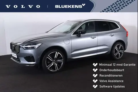 Used VOLVO XC60 Hybrid 2019 Ad 