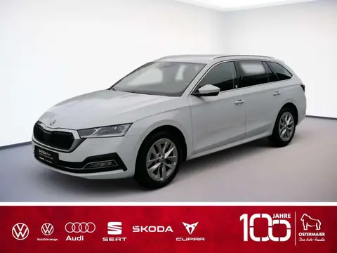 Used SKODA OCTAVIA Diesel 2023 Ad 