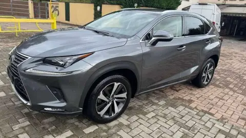 Annonce LEXUS NX Hybride 2020 d'occasion 