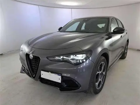 Annonce ALFA ROMEO STELVIO Diesel 2023 d'occasion 