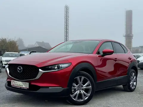 Used MAZDA CX-30 Hybrid 2020 Ad 