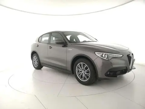 Used ALFA ROMEO STELVIO Diesel 2021 Ad 