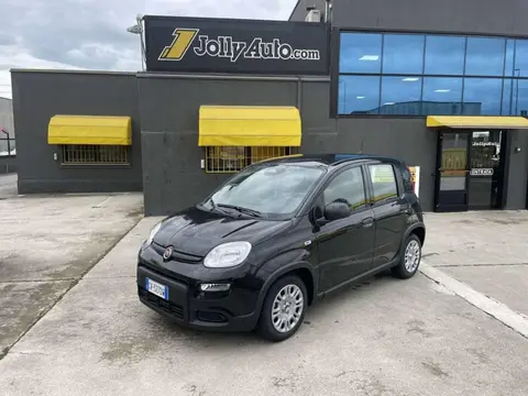 Annonce FIAT PANDA Hybride 2024 d'occasion 