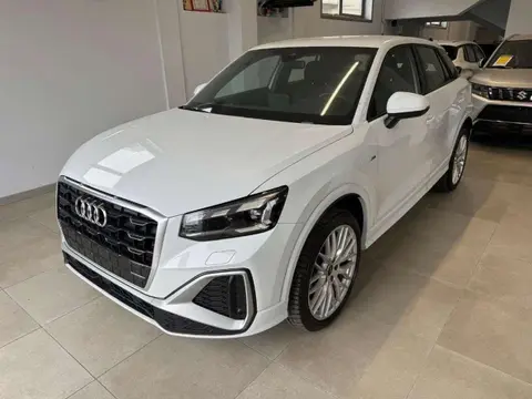 Annonce AUDI Q2 Diesel 2023 d'occasion 