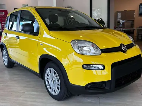 Annonce FIAT PANDA Hybride 2024 d'occasion 