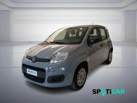 Used FIAT PANDA Petrol 2019 Ad 