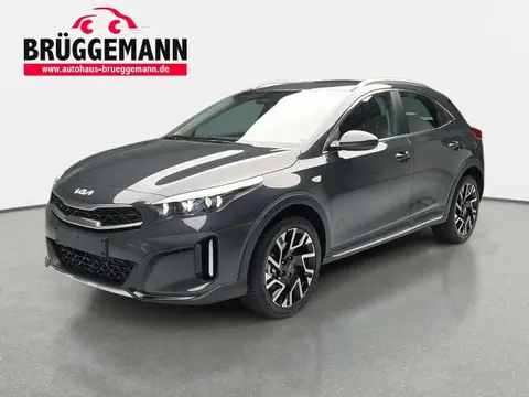 Used KIA XCEED Petrol 2024 Ad 