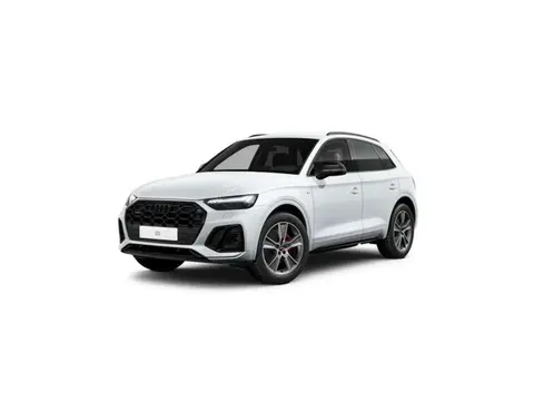 Used AUDI Q5 Hybrid 2024 Ad 