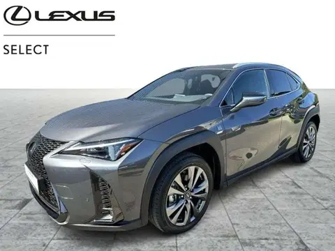 Annonce LEXUS UX Hybride 2024 d'occasion 