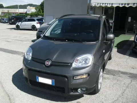 Used FIAT PANDA Hybrid 2023 Ad 