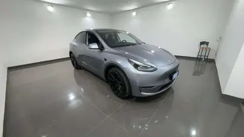 Used TESLA MODEL Y Electric 2023 Ad 