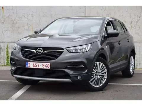 Used OPEL GRANDLAND Diesel 2020 Ad 