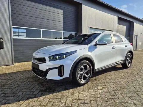 Used KIA XCEED Petrol 2024 Ad 