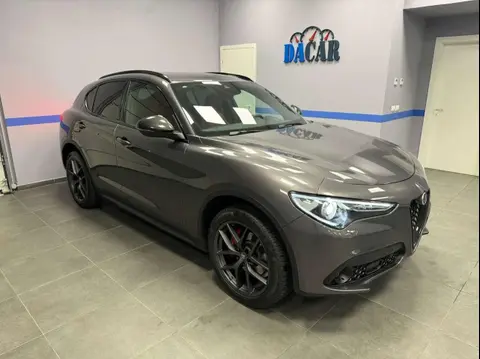 Used ALFA ROMEO STELVIO Diesel 2019 Ad Italy