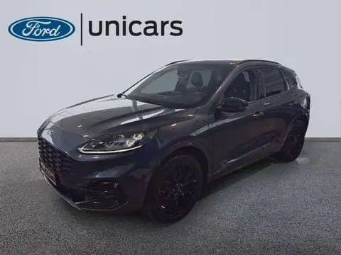 Annonce FORD KUGA Hybride 2023 d'occasion 