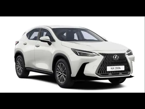 Used LEXUS NX Hybrid 2024 Ad 