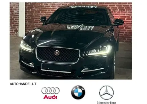 Used JAGUAR XE Diesel 2015 Ad 