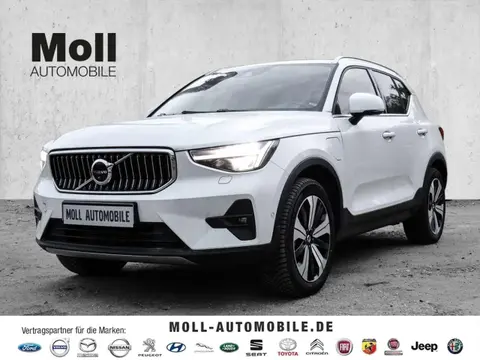 Used VOLVO XC40 Hybrid 2023 Ad 