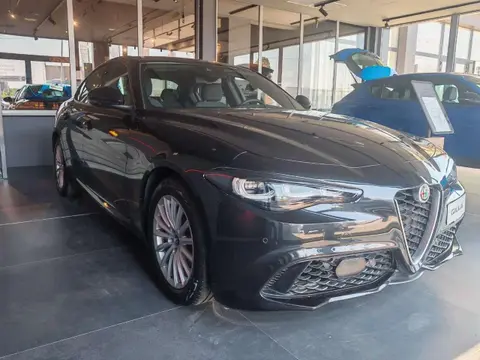 Used ALFA ROMEO GIULIA Diesel 2024 Ad 