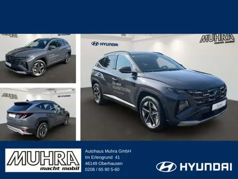 Annonce HYUNDAI TUCSON Essence 2024 d'occasion 