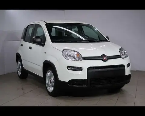 Annonce FIAT PANDA Hybride 2024 d'occasion 